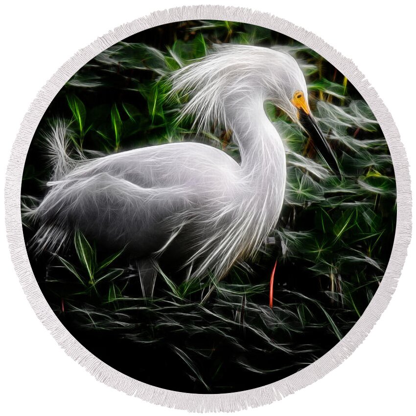 Egret Round Beach Towel featuring the photograph Fancy Feathers by Lucy VanSwearingen