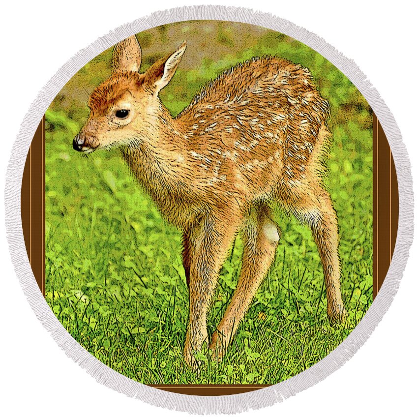 White-tailed Deer Round Beach Towel featuring the photograph Fawn Poster Image by A Macarthur Gurmankin