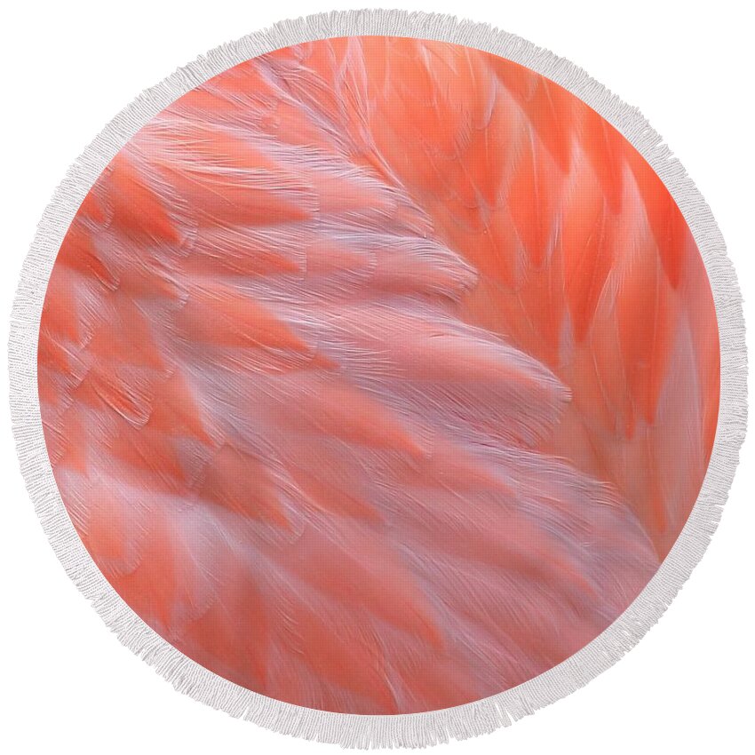 Feathers Round Beach Towel featuring the photograph Feather Abstract 2 by Angela Murdock