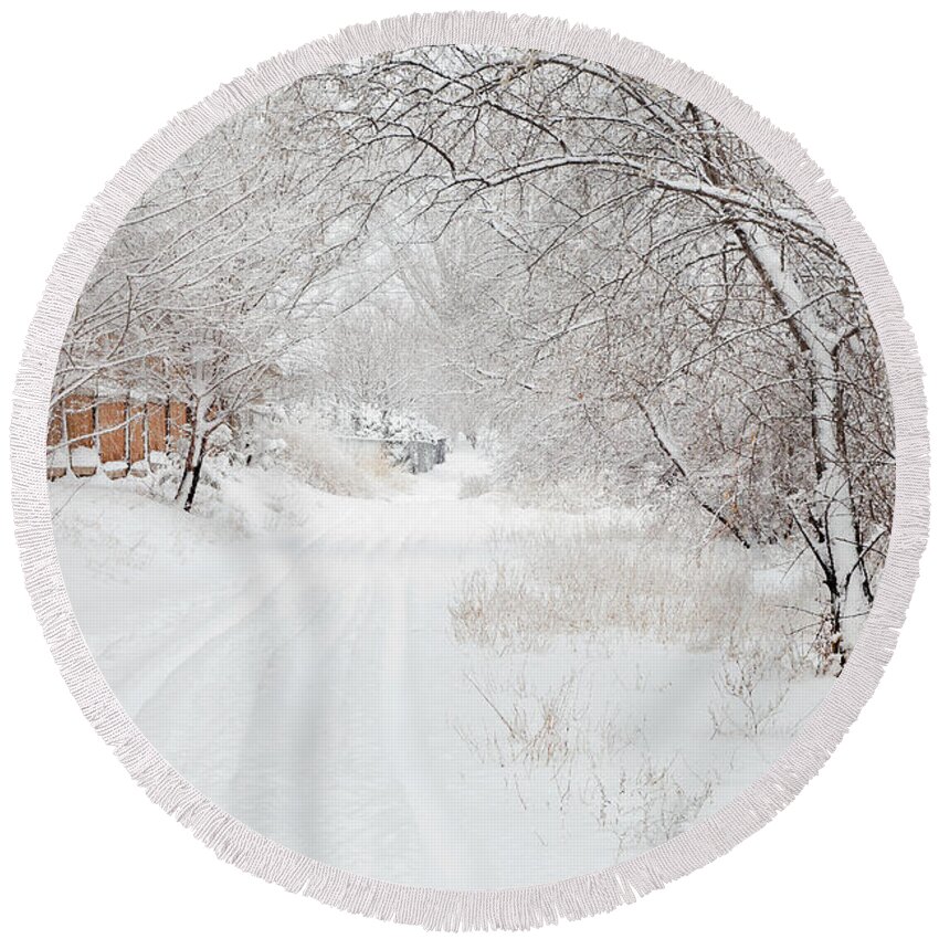 Snow Round Beach Towel featuring the photograph February Snow by Theresa Tahara