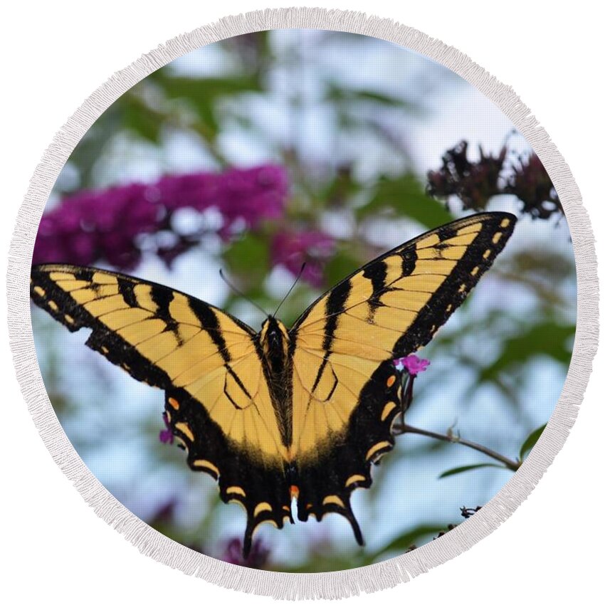 Butterfly Round Beach Towel featuring the photograph Feeling Pretty II by Judy Wolinsky