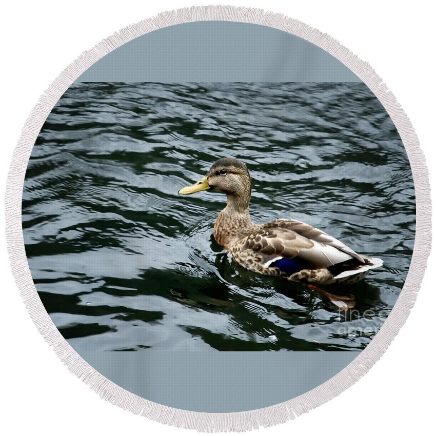 Duck Round Beach Towel featuring the photograph Female Mallard No. 2 by Belinda Greb