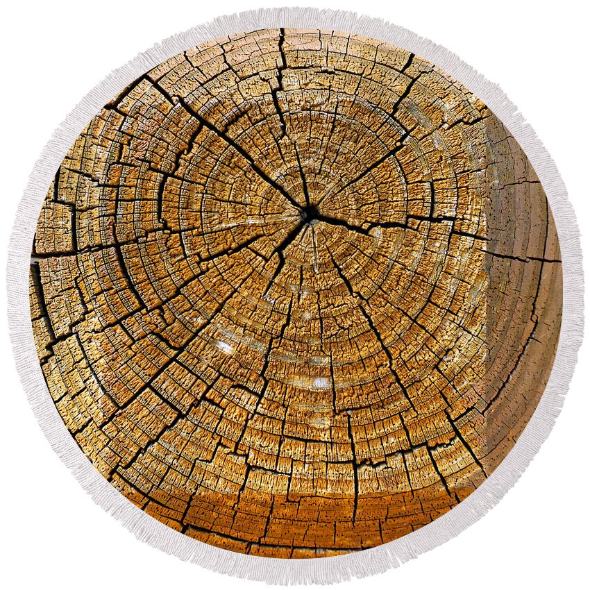 Wood Round Beach Towel featuring the photograph Fencepost Top 3 by Duane McCullough