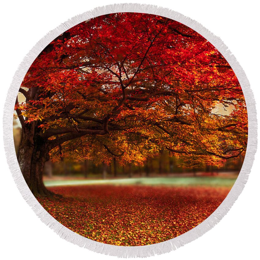Autumn Round Beach Towel featuring the photograph Finest Fall by Hannes Cmarits