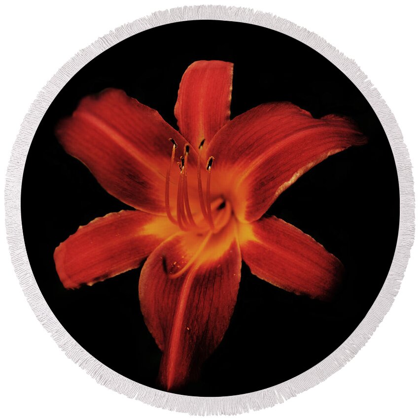 Lily Round Beach Towel featuring the photograph Fire Lily by Michael Porchik