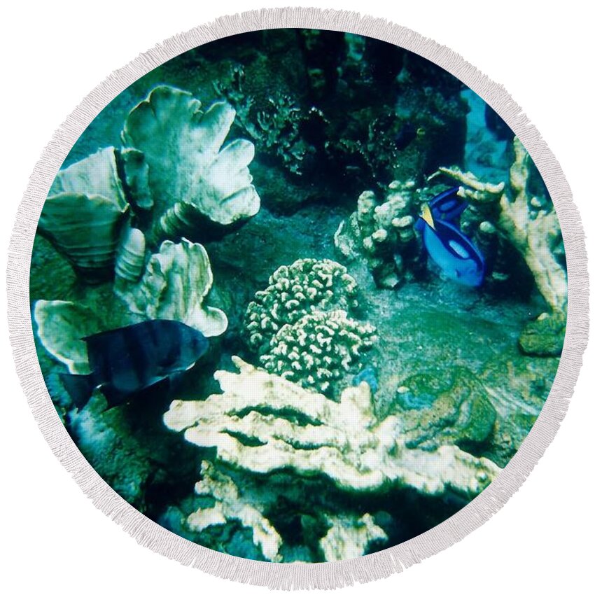 Underwater Round Beach Towel featuring the photograph Fish In The Coral by D Hackett