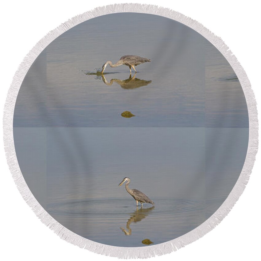 Great Blue Heron Round Beach Towel featuring the photograph Fishing Crane by James BO Insogna