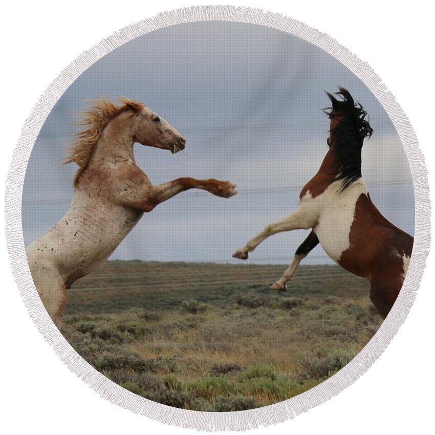  Round Beach Towel featuring the photograph Fist Fight by Christy Pooschke
