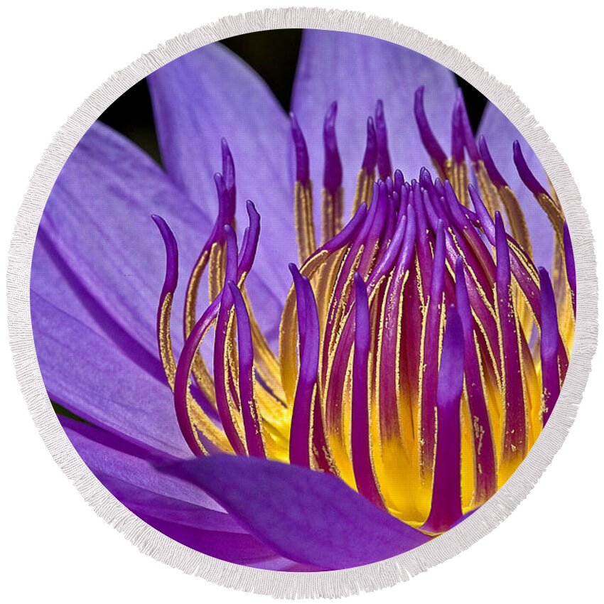 Waterlily Round Beach Towel featuring the photograph Flaming Heart by Susan Candelario