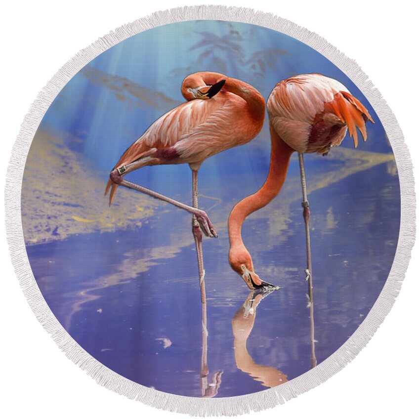 Bird Round Beach Towel featuring the photograph Flamingo Fantasy Lights by Bill and Linda Tiepelman