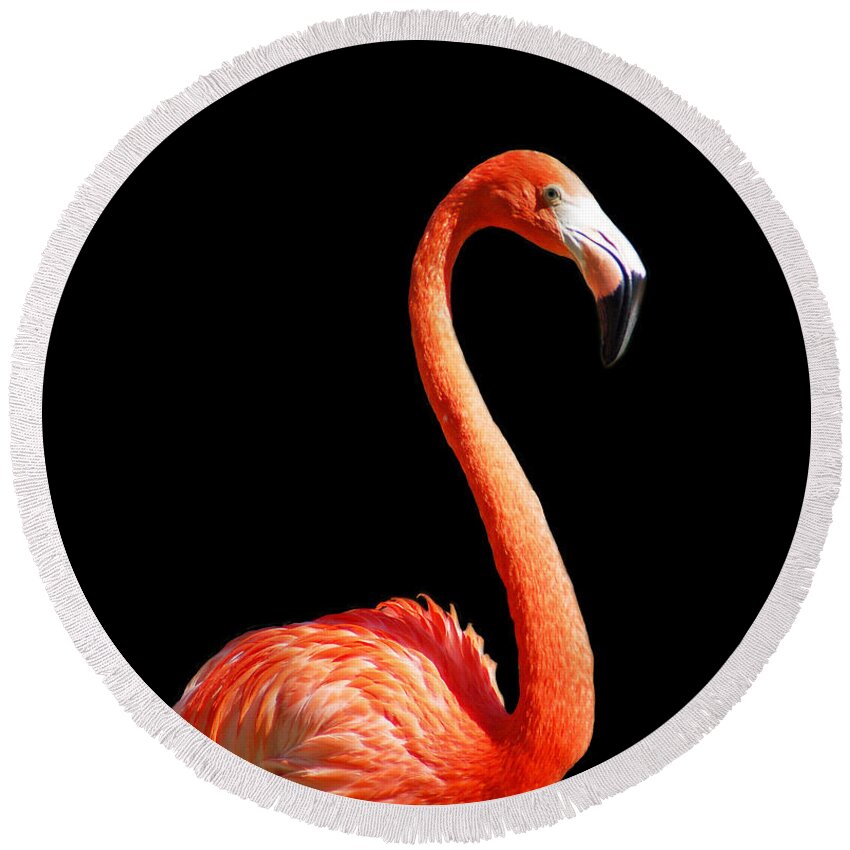 Flamingo Round Beach Towel featuring the photograph Flamingo Portrait by Aimee L Maher ALM GALLERY
