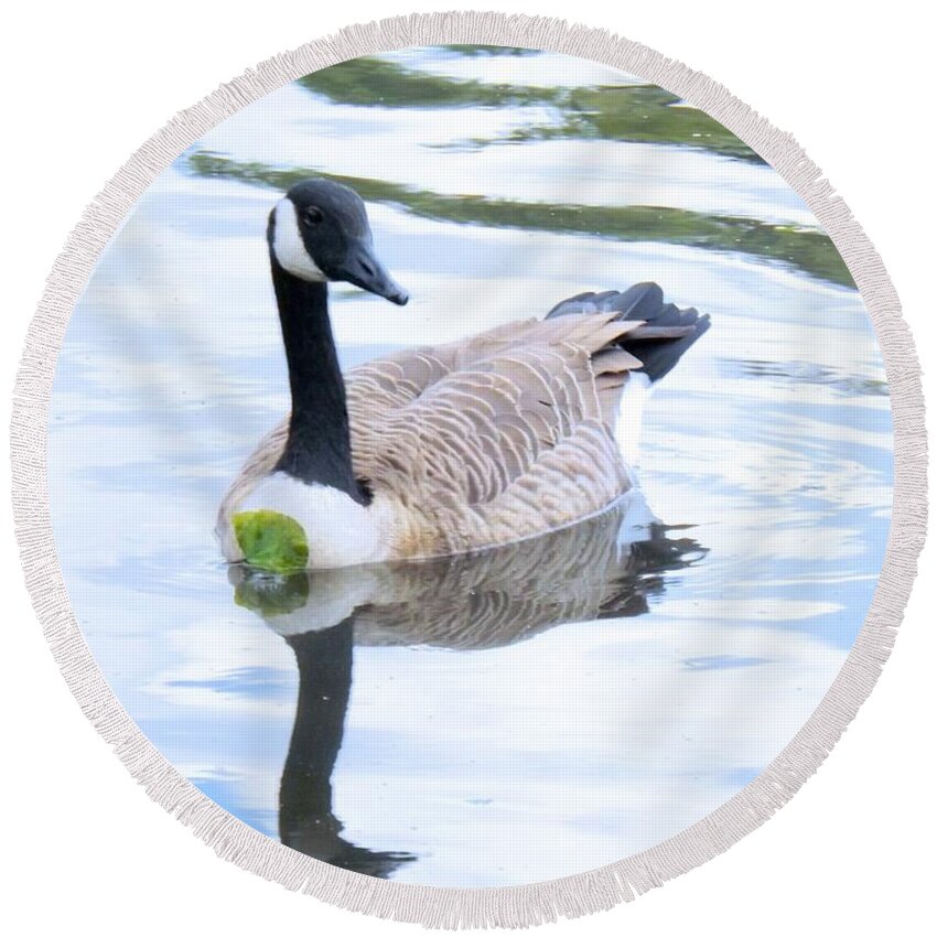 Canada Round Beach Towel featuring the photograph Floating On A Lily Pad by Robyn King