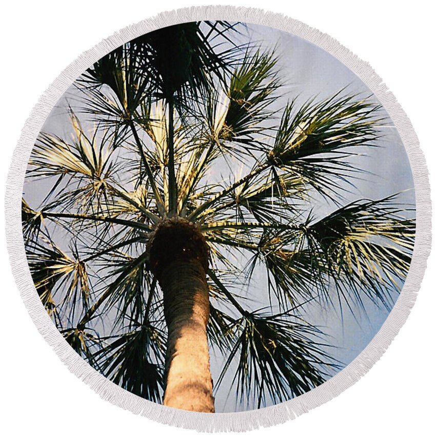 Florida Round Beach Towel featuring the photograph Florida Trees by Verana Stark