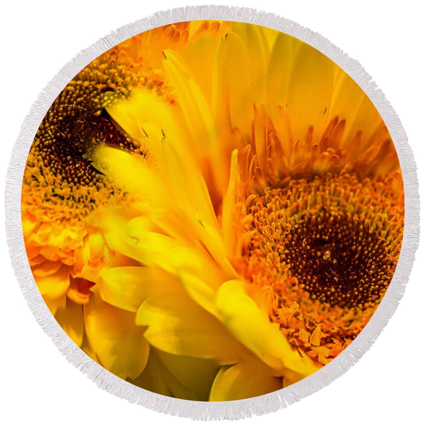 Daisy Round Beach Towel featuring the photograph Flower Eyes by Wild Fotos