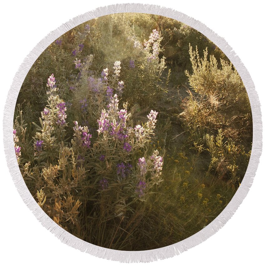 Outside; Outdoors; Prairie; Flowers; Floral; Wild Flowers; Grasses; Hills; Hilly; Sky; Sunset; Pretty; Purple; Path; Landscape; Nature Round Beach Towel featuring the photograph Flower Field by Margie Hurwich