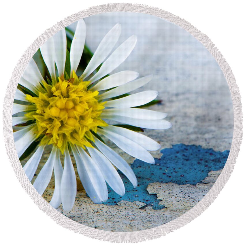 Building Round Beach Towel featuring the photograph Flower On Old Paint 1 by Michael Arend