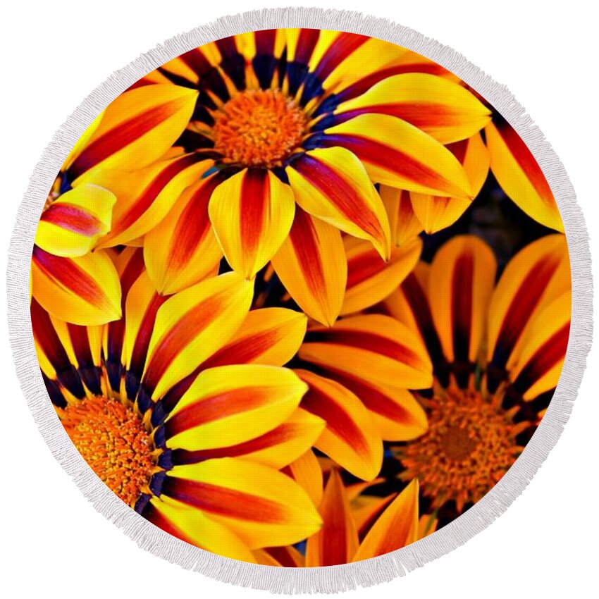 Gazania Round Beach Towel featuring the photograph Flower Power by Clare Bevan