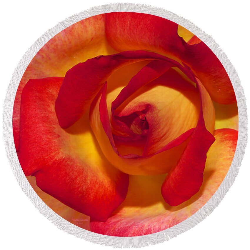 Rose Round Beach Towel featuring the photograph Flower Power by Phyllis Denton