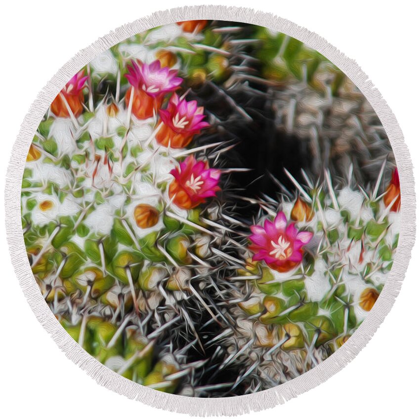 Las Palmas Round Beach Towel featuring the photograph Flowering Cactus by Tracy Winter