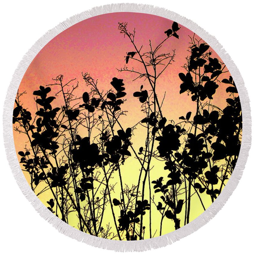  Agriculture Round Beach Towel featuring the photograph Flowers in the backlight 2 by Amanda Mohler