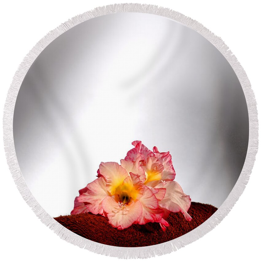 Gladiolus Round Beach Towel featuring the photograph Flowers on Towel by Olivier Le Queinec