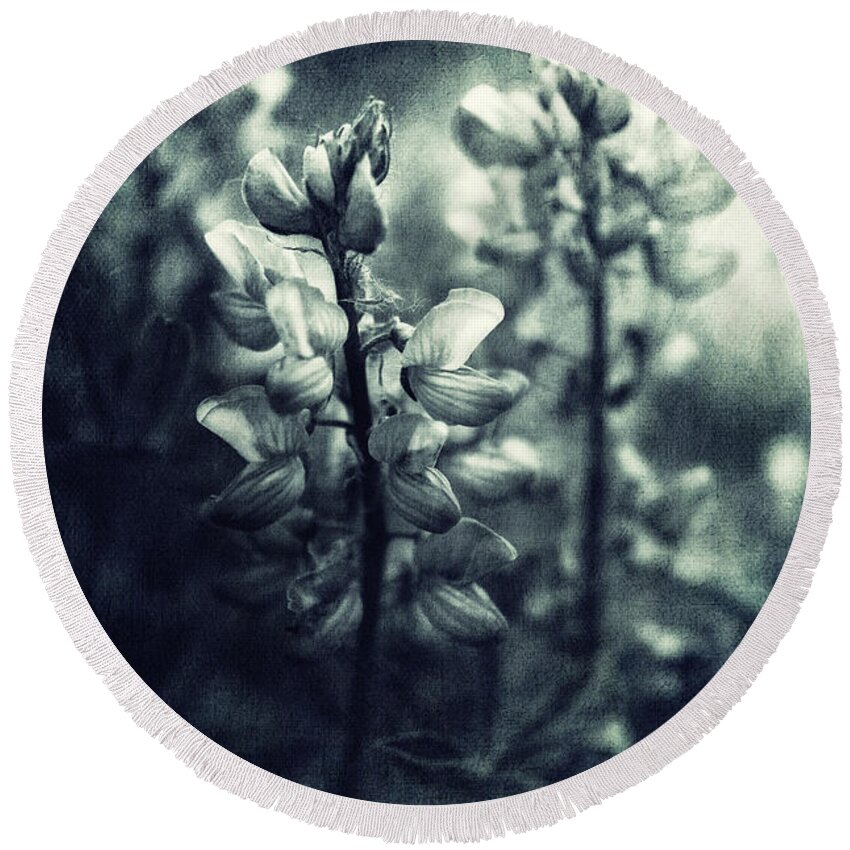 Monochromatic Round Beach Towel featuring the photograph Arctic Lupines by Priska Wettstein