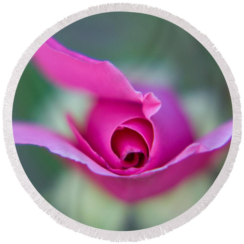Pink Round Beach Towel featuring the photograph Flying Rose by Lisa Chorny