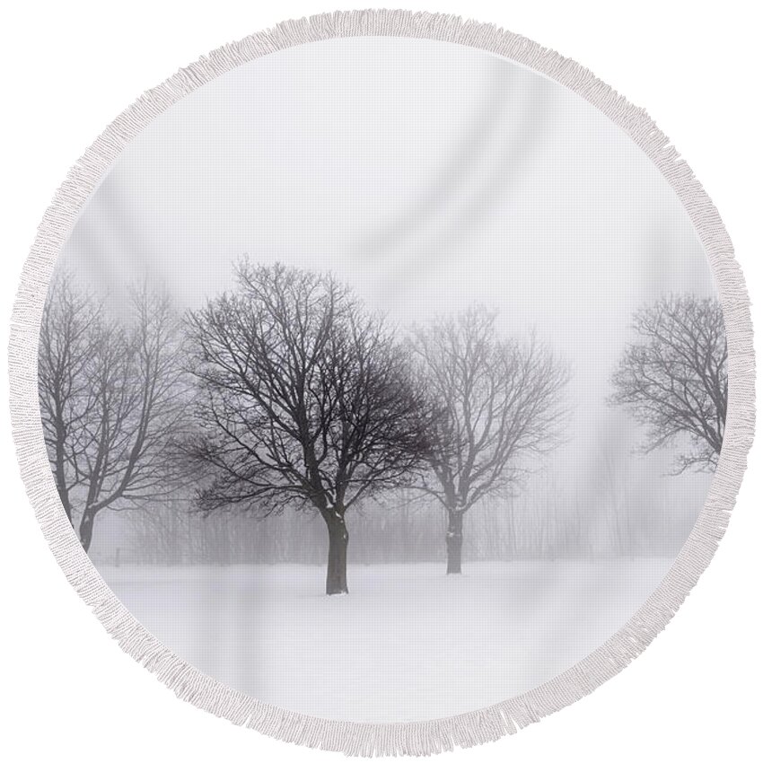 Trees Round Beach Towel featuring the photograph Foggy park with winter trees by Elena Elisseeva