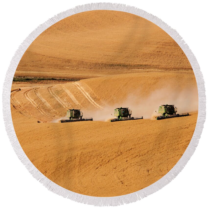 Harvest Round Beach Towel featuring the photograph Follow The Leader by Mary Jo Allen