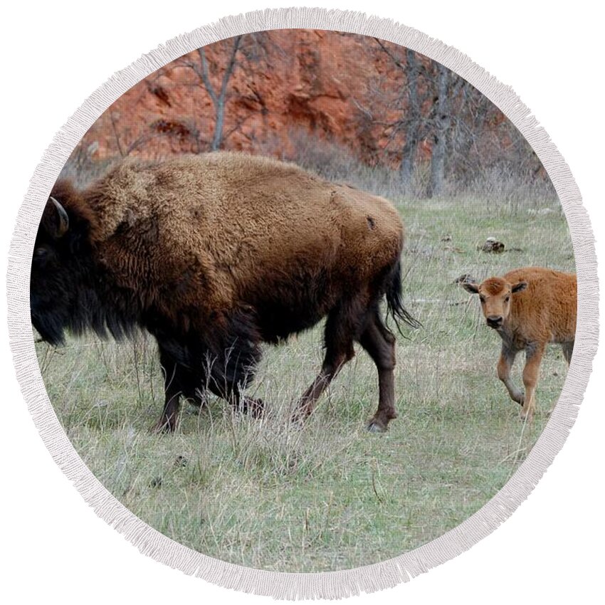 Buffalo Round Beach Towel featuring the photograph Following Mama by Greni Graph