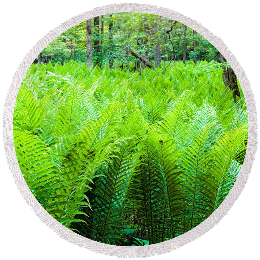Michigan Round Beach Towel featuring the photograph Forest Ferns  by Lars Lentz
