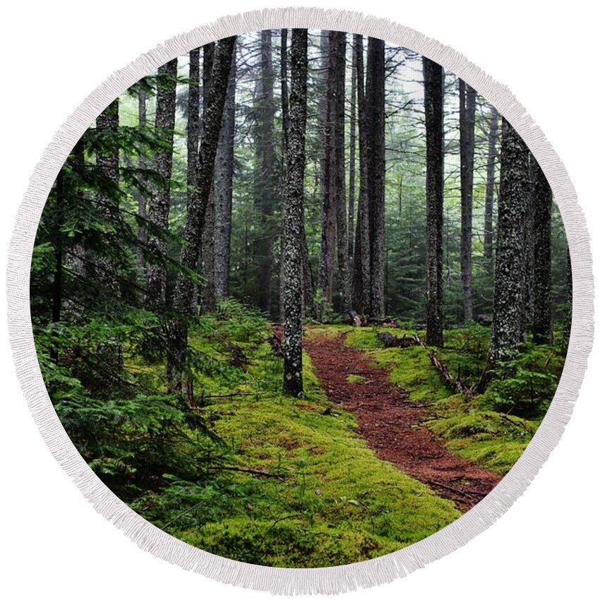 Woods Round Beach Towel featuring the photograph Forest by Karin Pinkham