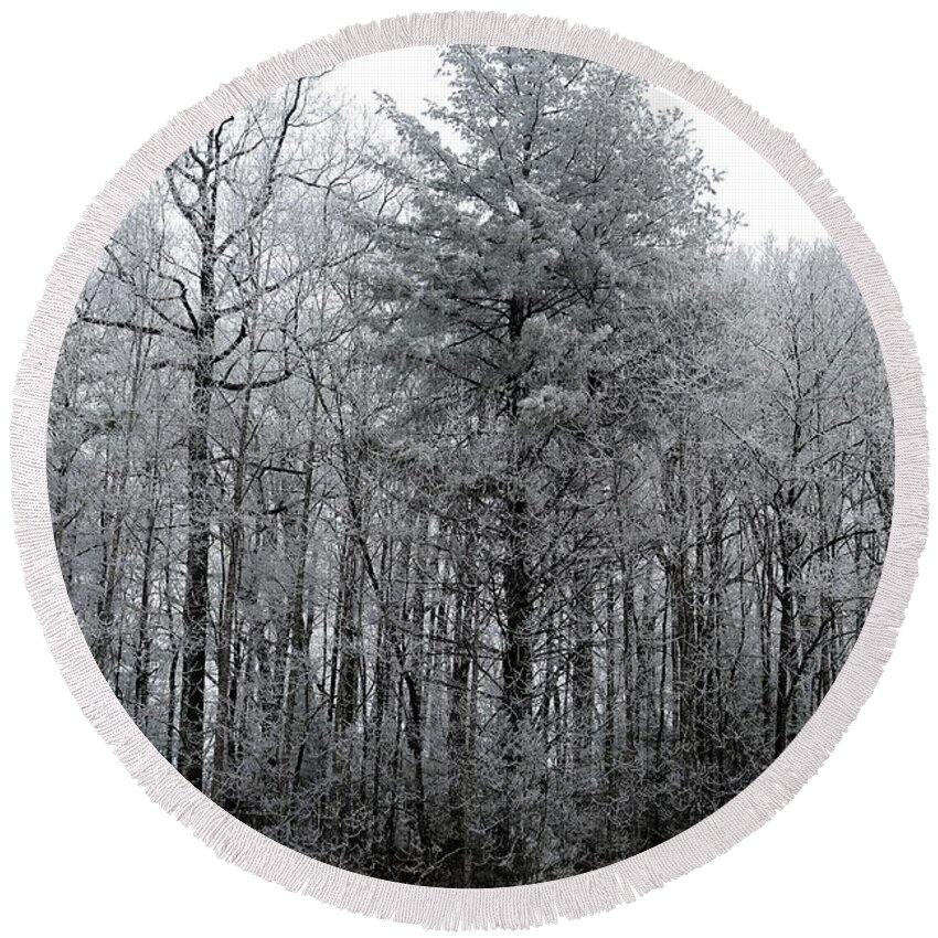 Landscape Round Beach Towel featuring the photograph Forest With Freezing Fog by Daniel Reed