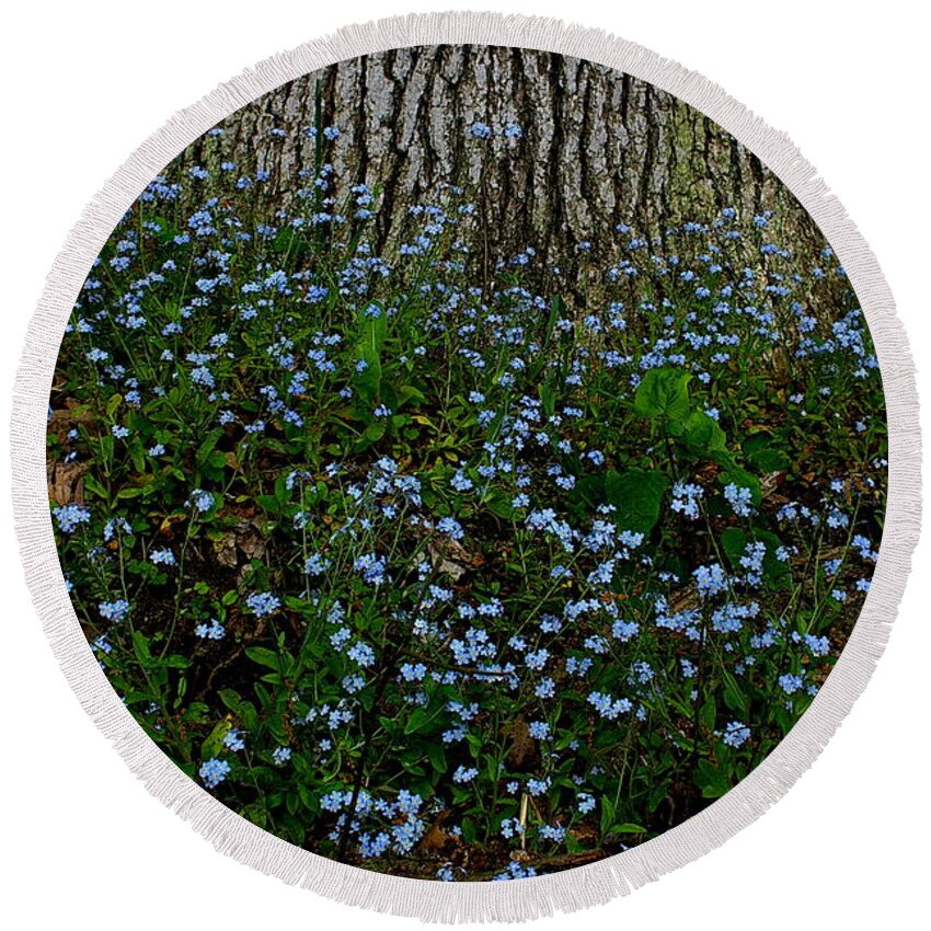 Forget-me-not Blossoms Round Beach Towel featuring the photograph Forget-Me-Not by Randy Pollard
