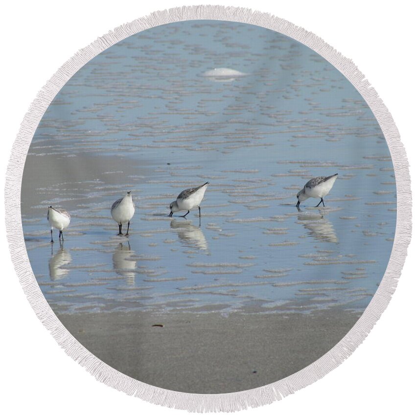 Animals Round Beach Towel featuring the photograph Four In A Row by Ellen Meakin