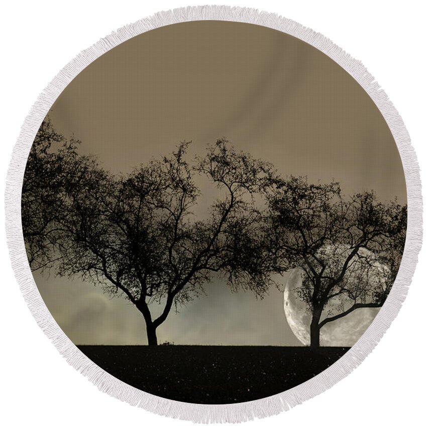 Trees Round Beach Towel featuring the photograph Four Trees and a Moon by Ann Bridges