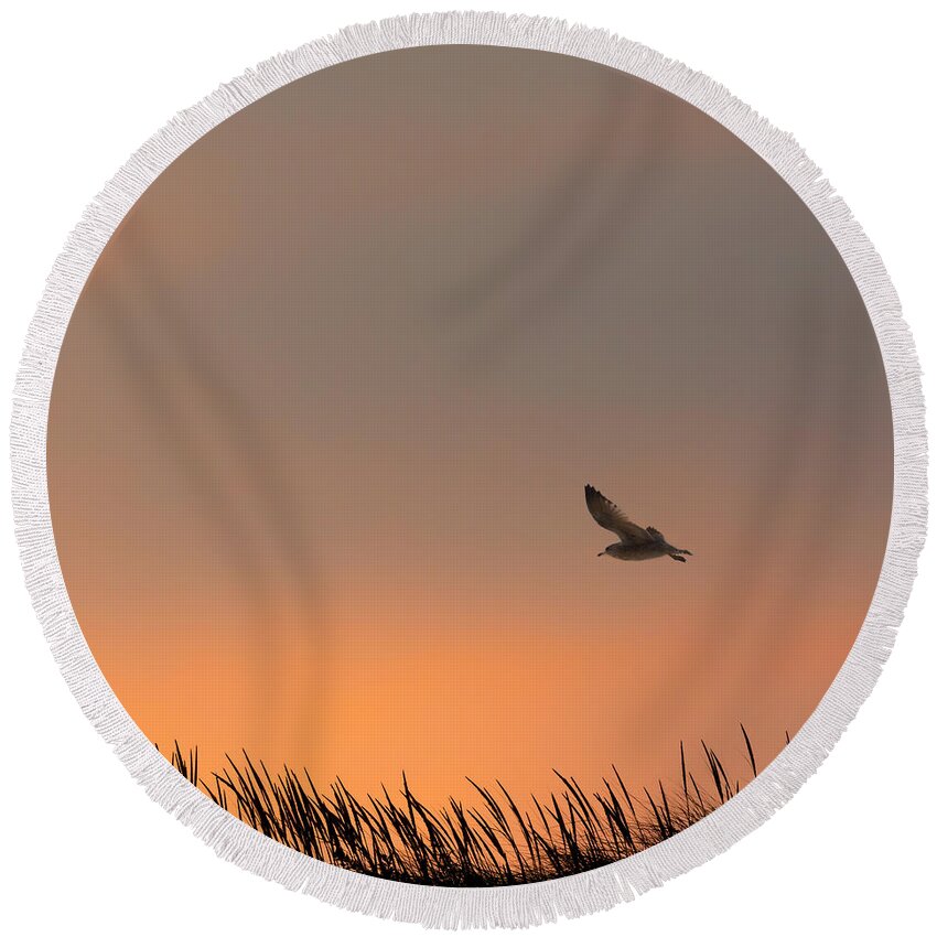 Silhouette Round Beach Towel featuring the photograph Free Square by Bill Wakeley