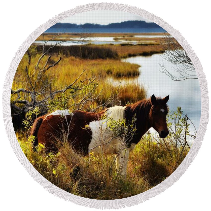 Assateague Island Round Beach Towel featuring the photograph Free To Be Me by Robert McCubbin