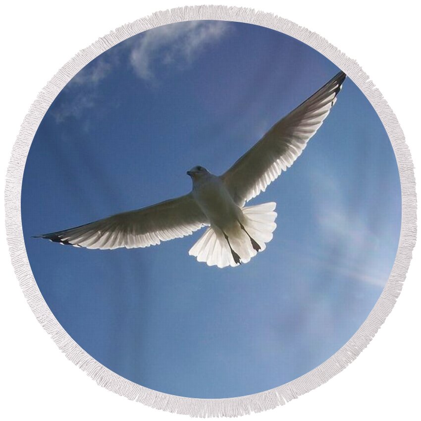 Seagull Round Beach Towel featuring the photograph Freedom Flight by Jackie Mueller-Jones