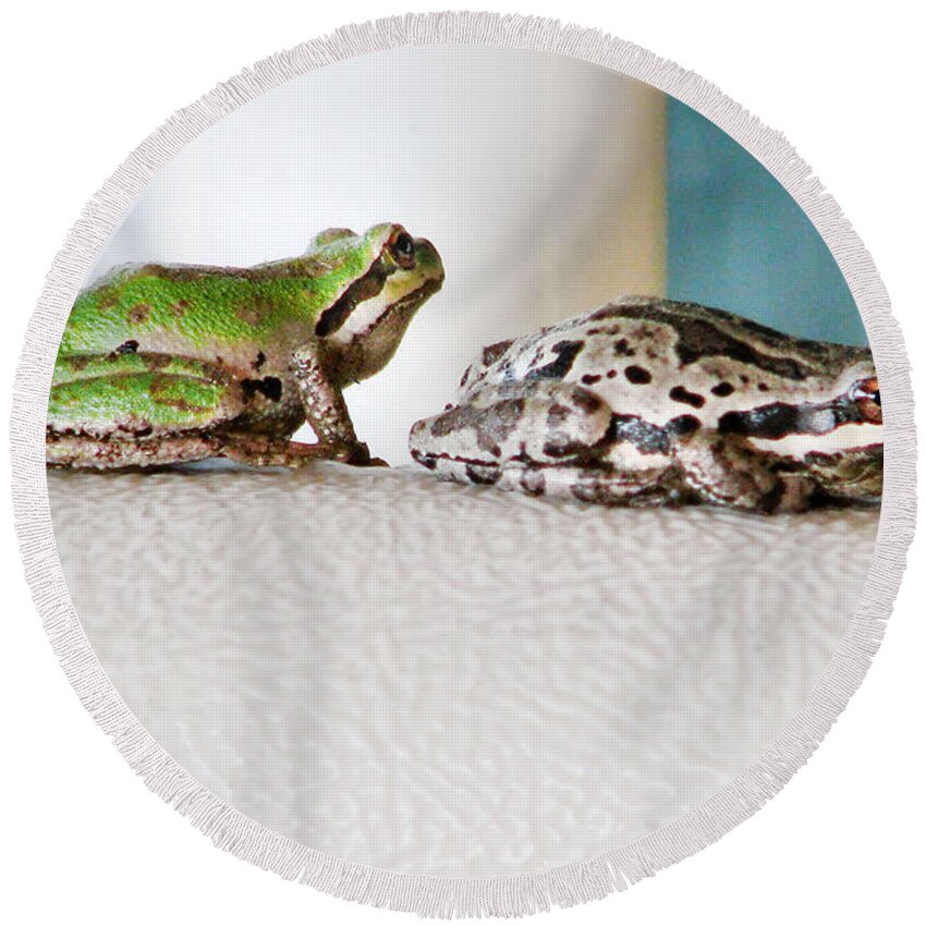 Frog Round Beach Towel featuring the photograph Frog Flatulence - A Case Study by Rory Siegel