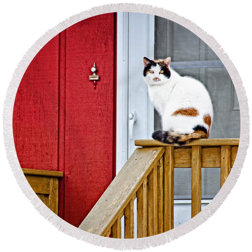 Cat Round Beach Towel featuring the photograph Front Porch Cat by Donna Doherty