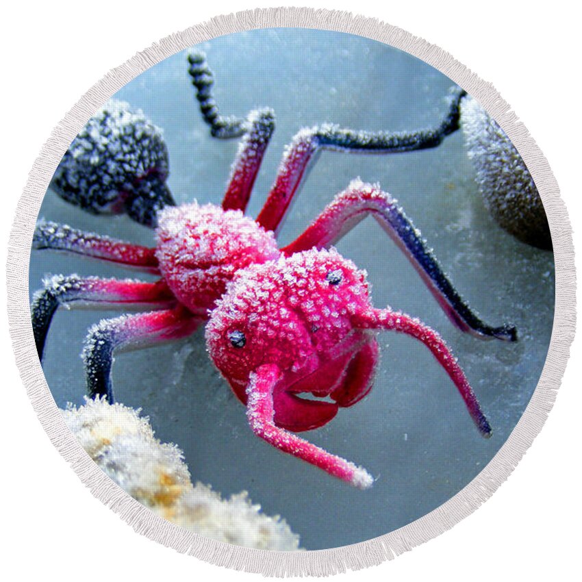 Frost Round Beach Towel featuring the photograph Frosty Ant in Winter by Duane McCullough