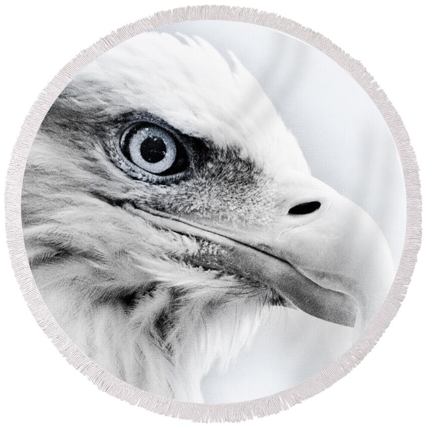 Eagle Round Beach Towel featuring the photograph Frosty Eagle by Shane Holsclaw