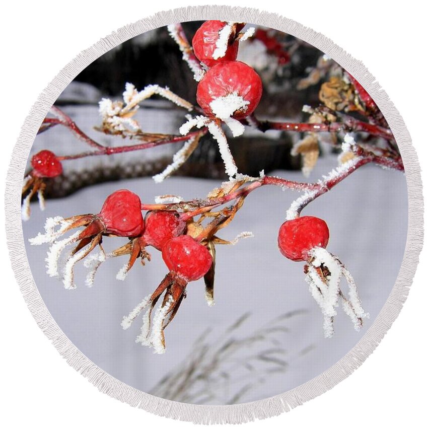 Frost Round Beach Towel featuring the photograph Frosty Rosehips by Will Borden