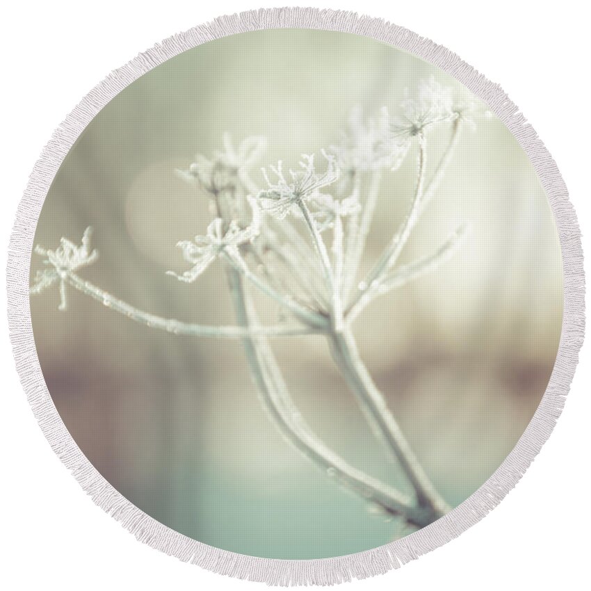 Queen Anne's Lace Round Beach Towel featuring the photograph Frozen Lace by Cheryl Baxter