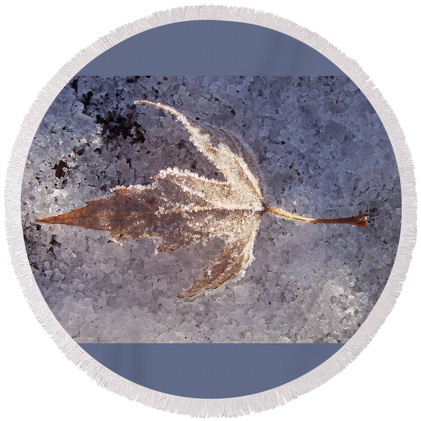 Winter Round Beach Towel featuring the photograph Frozen Leaf by Richard Bryce and Family
