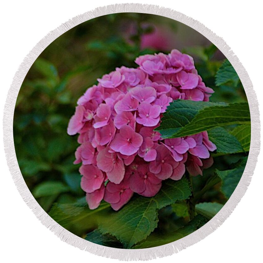 Balcony Round Beach Towel featuring the photograph Garden Walk by Joseph Yarbrough