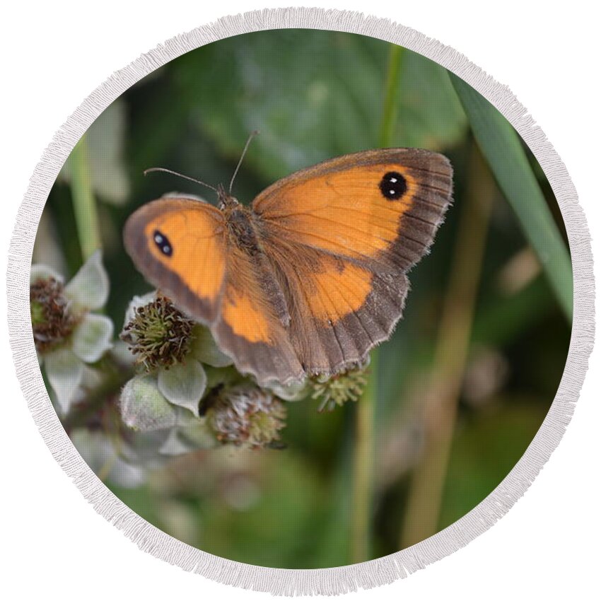 Insect Round Beach Towel featuring the photograph Gatekeeper Butteryfly by Scott Lyons