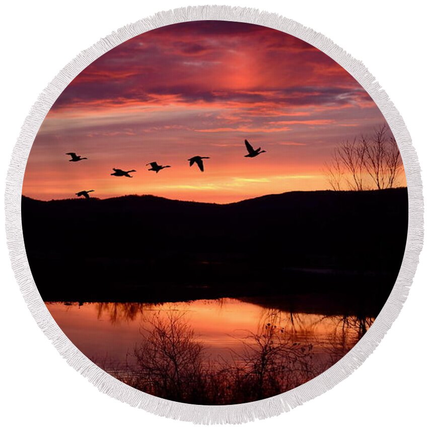 Sunset Round Beach Towel featuring the photograph Geese after Sunset by Harry Moulton