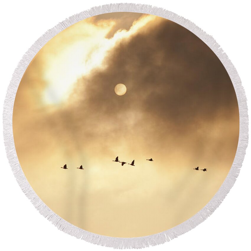 Pacific Northwest Round Beach Towel featuring the photograph Geese Silhouetted by Jim Corwin